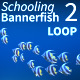 Schooling Bannerfish 2 - VideoHive Item for Sale