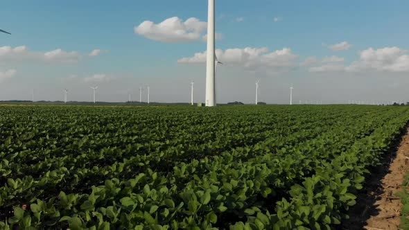 Drone flying low along green rows of soybeans towards a wind generator farm in Iowa alt