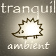 Tranquil Underwater Meditative Ambient