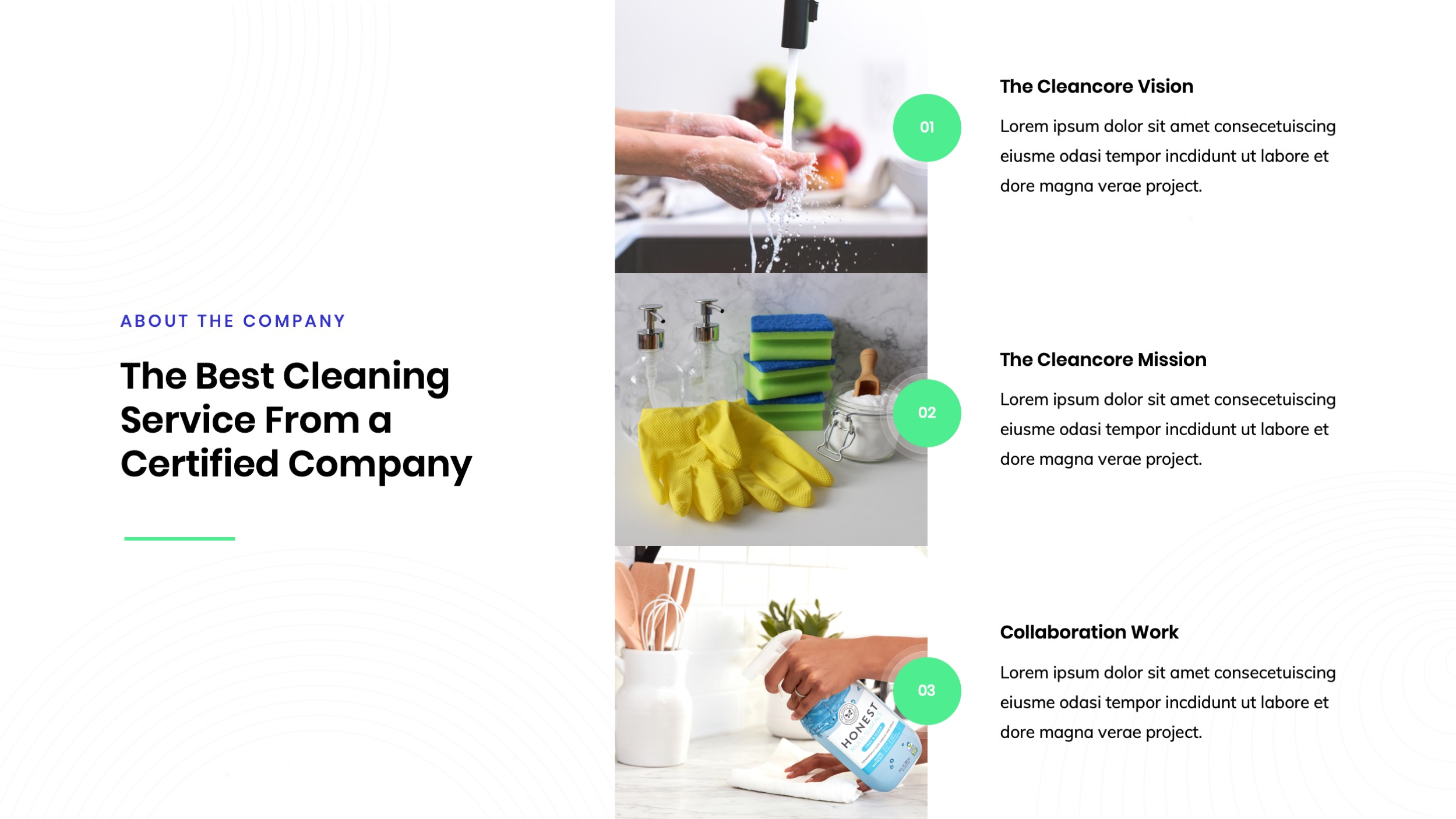 Cleaning Services Powerpoint Presentation, Presentation Templates