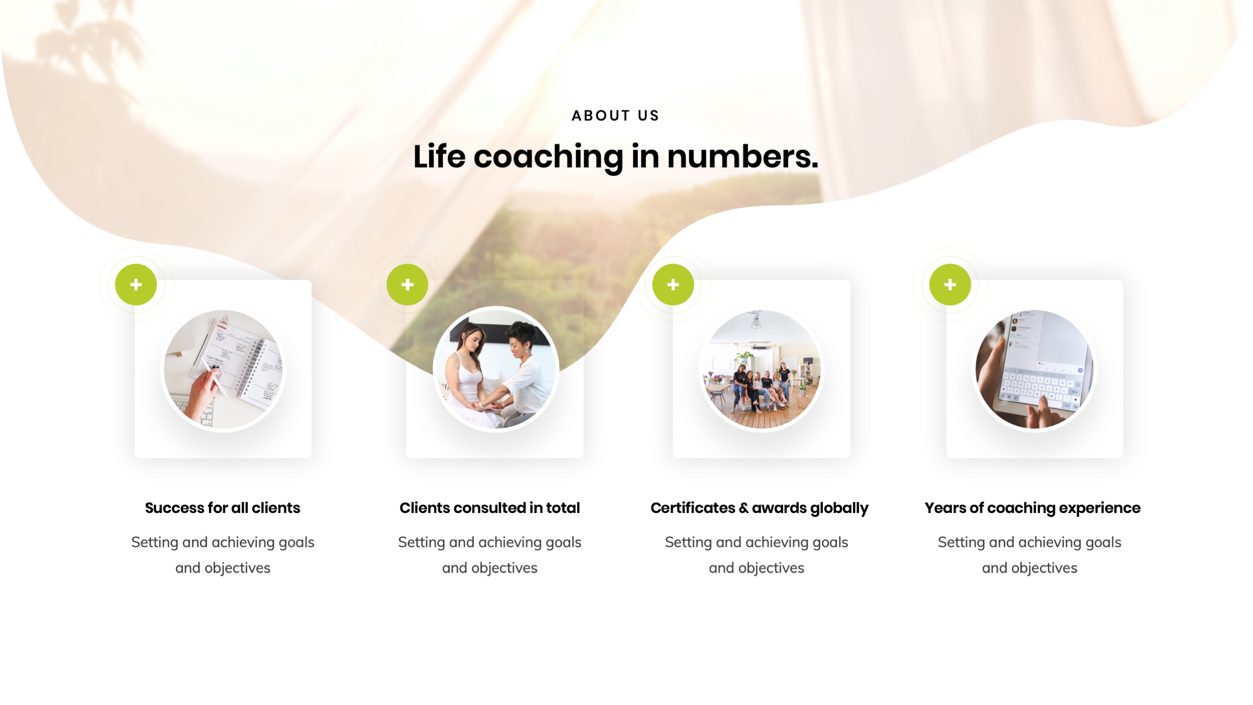 Health Coaching Powerpoint Presentation Template, Presentation Templates