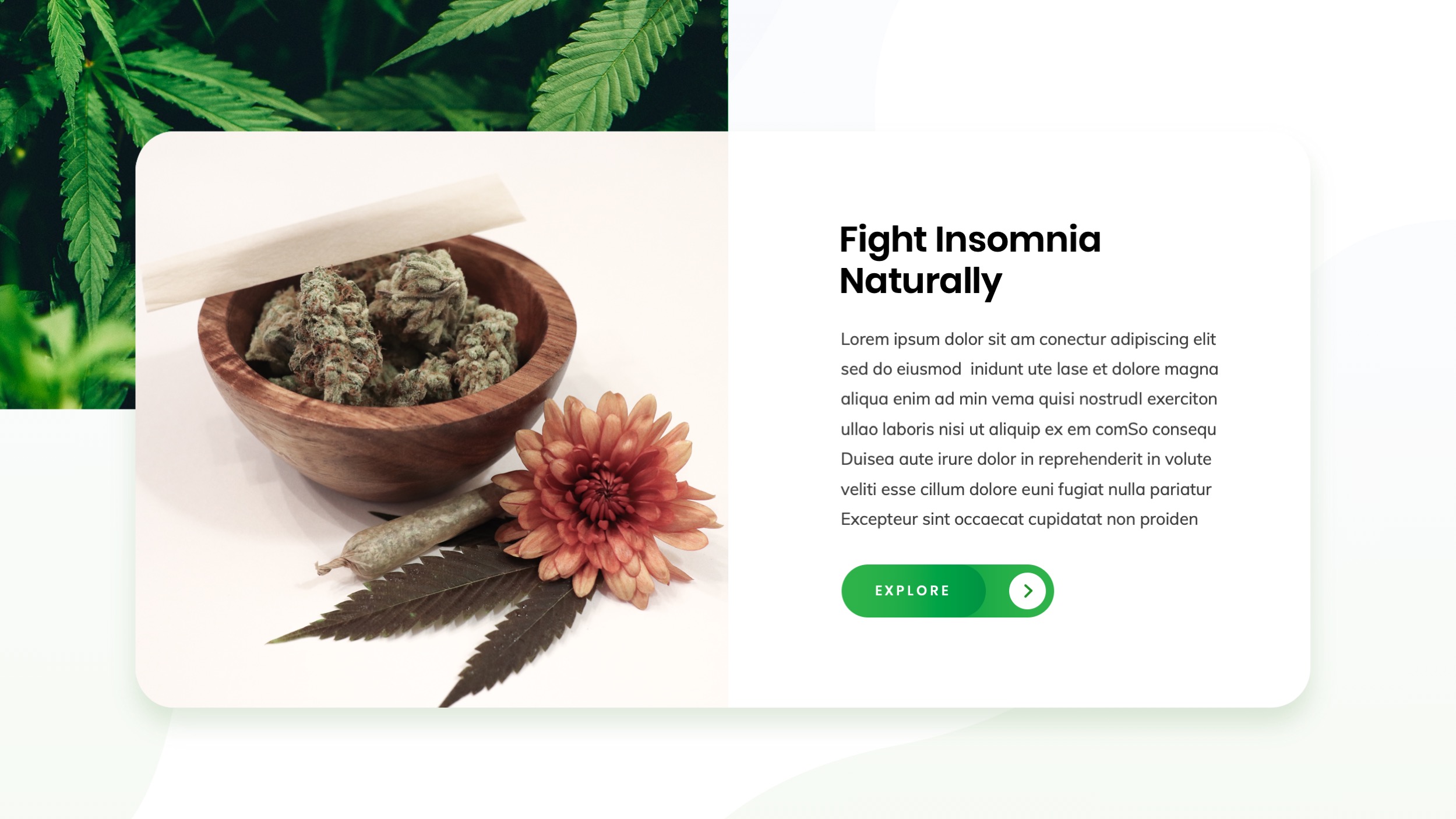 Cannabis Powerpoint Presentation Templates, Presentation Templates