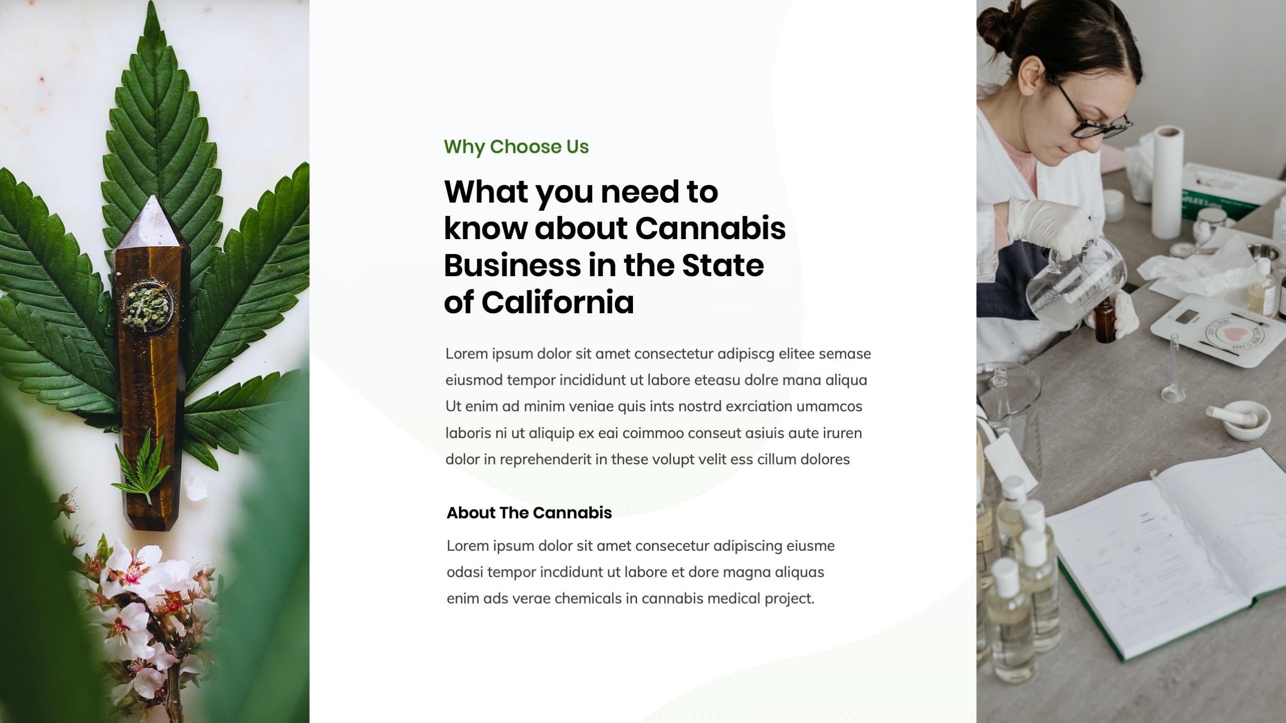 Cannabis Powerpoint Presentation Templates, Presentation Templates