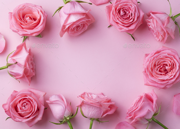 Rose flowers frame on pink background. Top view. Copy space. Stock Photo by  annapustynnikova