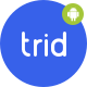 Trid - City Travel Guide