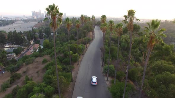 Aerial Drone Elysian Park Palm Trees Los Angeles Sunset 3 alt