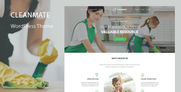CleanMate - Cleaning WordPress Theme