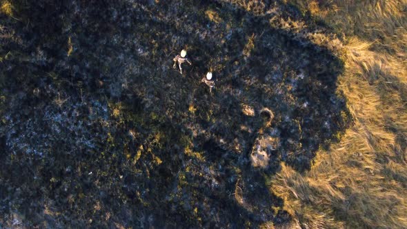 Two Firefighters Walk on Black Scorched Earth After Fire and Burning Dry Grass alt