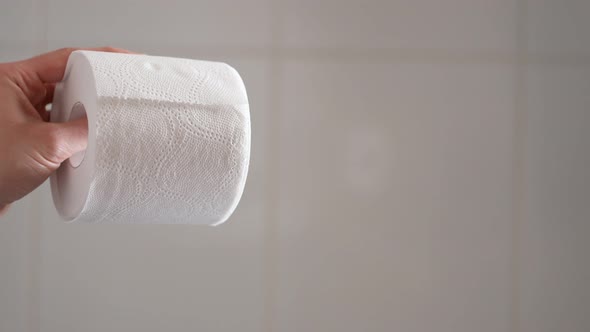 Toilet Paper Crisis alt