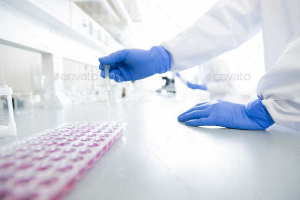 Gloved hands of researcher with pipette adding liquid substance to another one