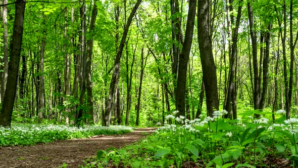 Light and shadow. alt