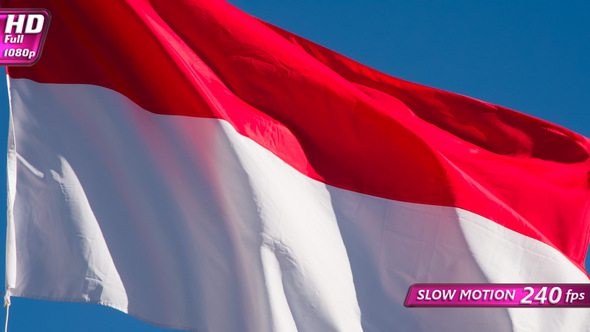 Flag Of Indonesia Waving On Sun alt