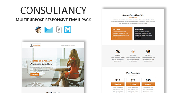 Consultancy Responsive Email - ThemeForest 26152735