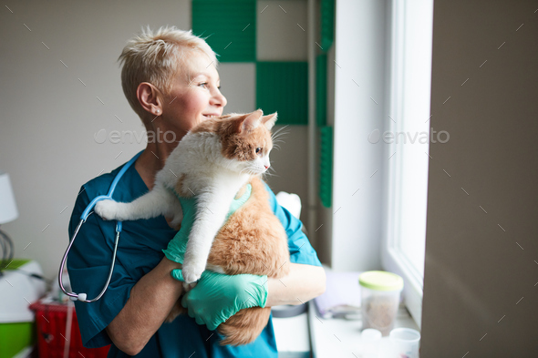 Happy vet doctor with cat