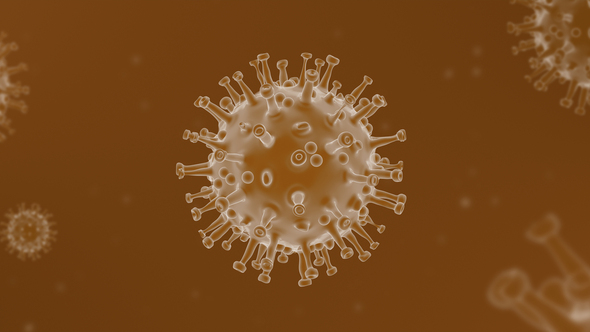 Coronavirus ( Covid – 19 ) Looped Background  - Orange