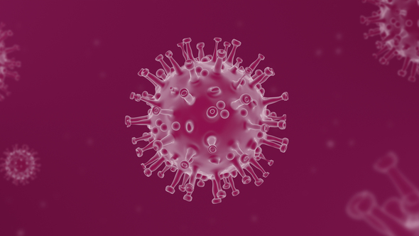 Coronavirus ( Covid – 19 ) Looped Background  - Pink
