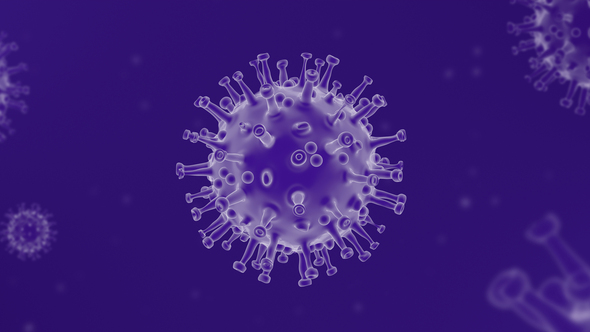 Coronavirus ( Covid – 19 ) Looped Background  - Purple
