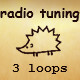 Radio Tuning
