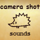 Camera Shutter