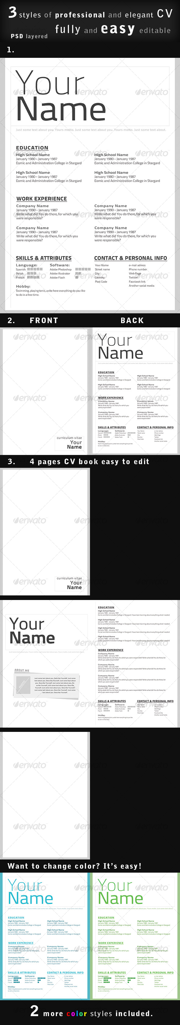 Professional CV / Resume in 3 styles - Miscellaneous Print Templates