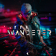Cyber Wanderer