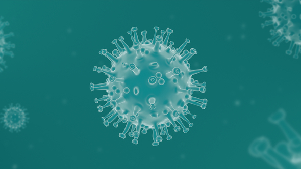 Coronavirus ( Covid – 19 ) Looped Background  - Light Turquoise