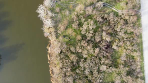 The drone flies over the forest belt and the river alt