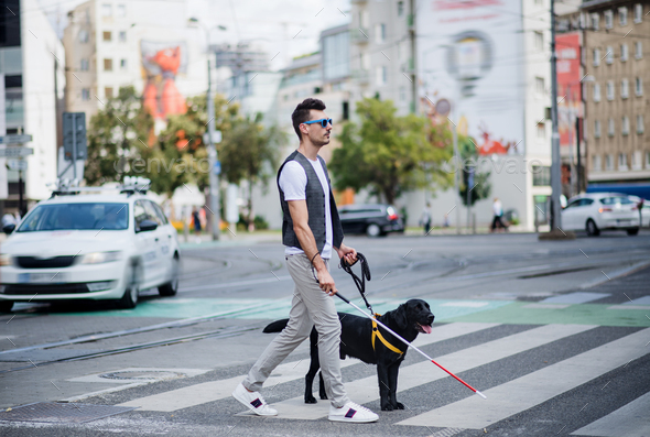 Young blind man with white cane and guide dog walking across street in city.