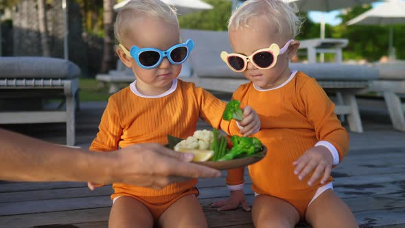 Hand Serving Plate of Vegetables for Twin Toddles at the Pool Side alt