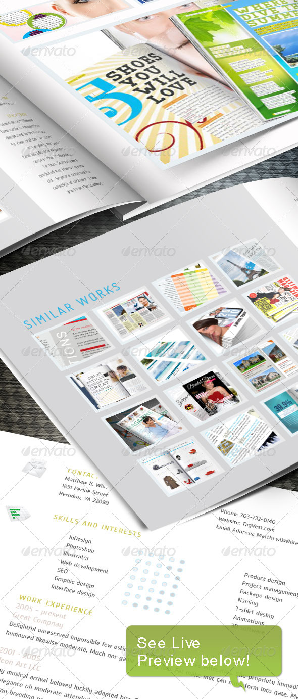 Web Portfoio InDesign template - Portfolio Brochures