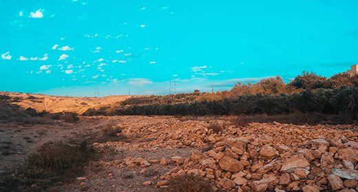 On the bottom of the mountain