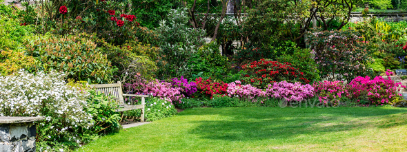 Beautiful Garden with blooming trees during spring time
