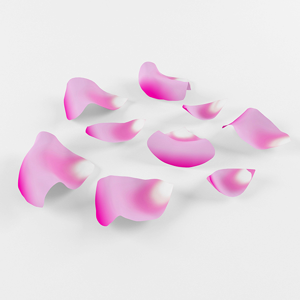 Pink Petals - 3Docean 26267603