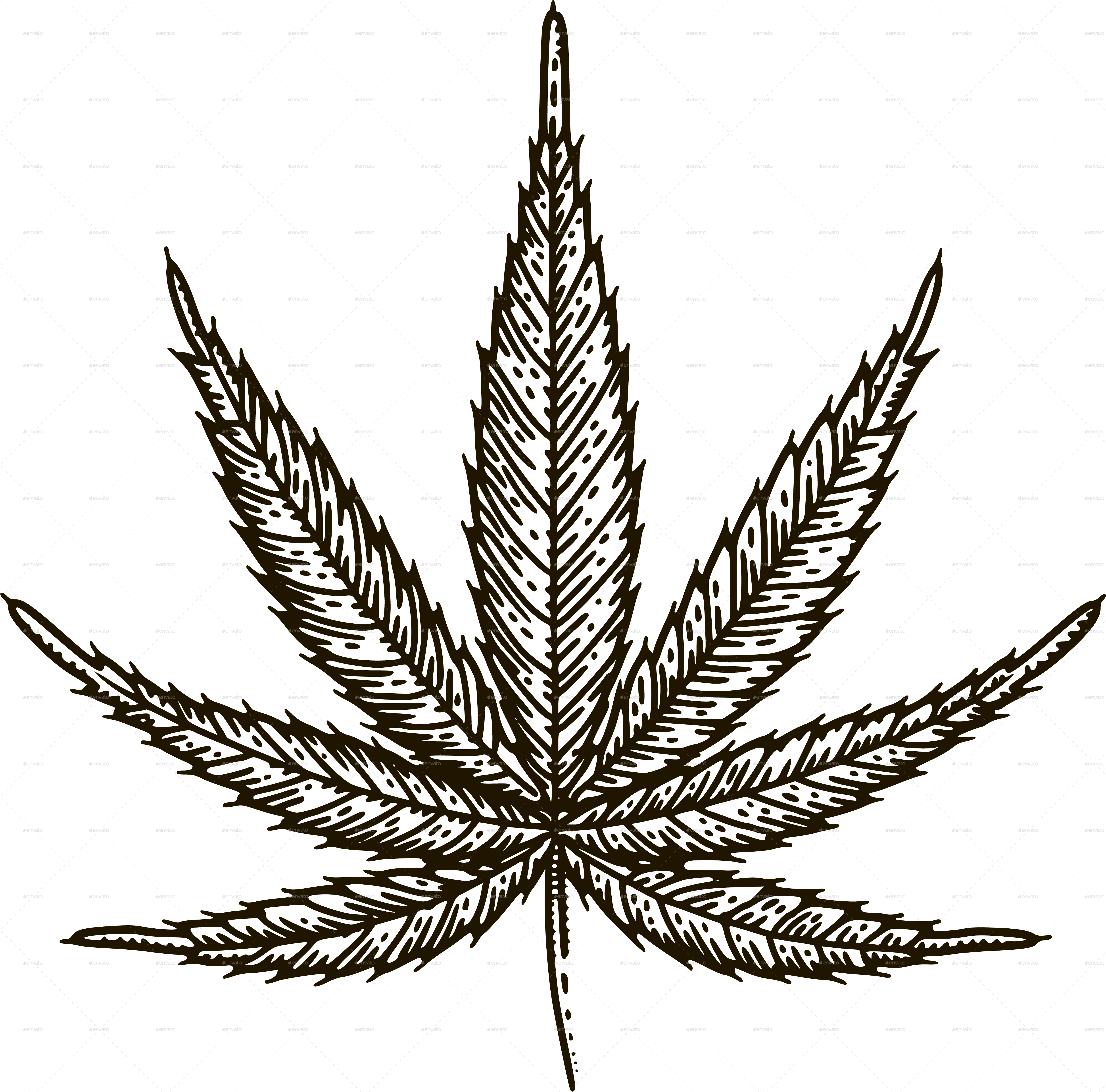 Marijuana Leaves, Vectors 