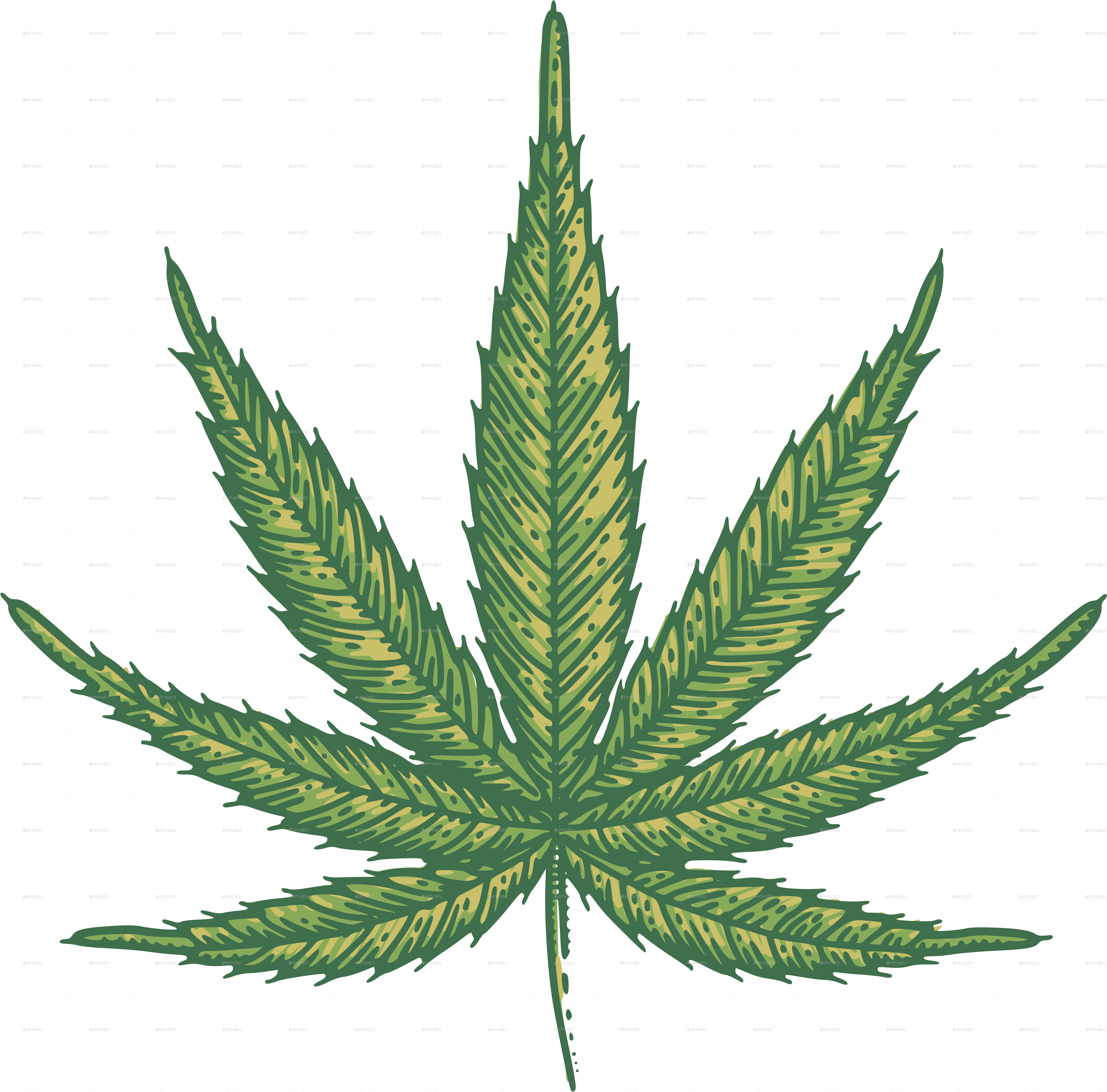Marijuana Leaves By Roktiv Graphicriver