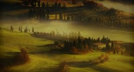 Photographic creator 546