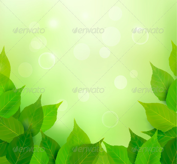 Nature background with fresh green leaves - Flowers & Plants Nature