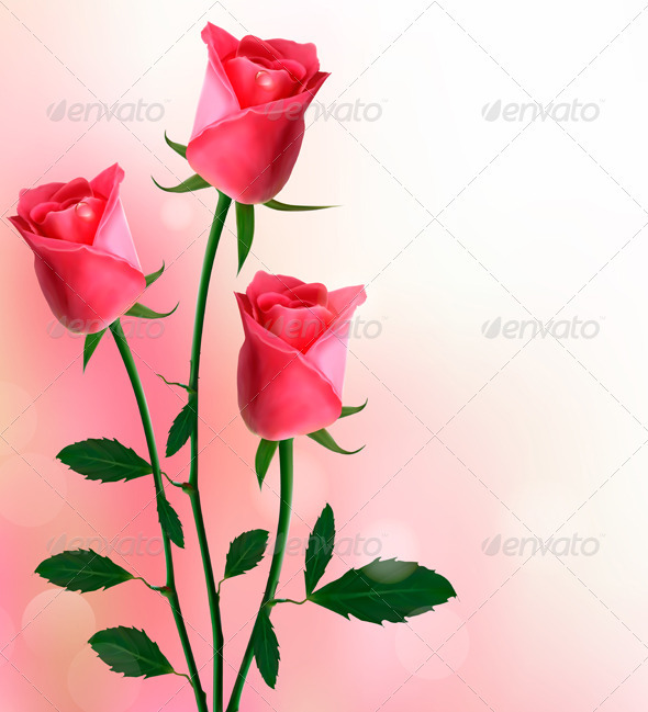 Holiday background with beautiful red roses - Flowers & Plants Nature