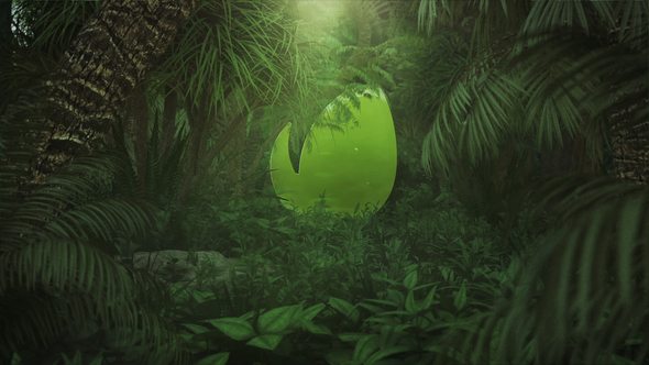 Nature/Jungle Logo Reveal