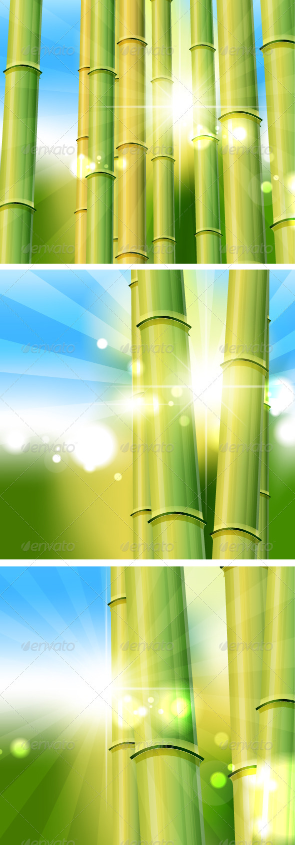 Bamboo Sunny Scenery - Flowers & Plants Nature