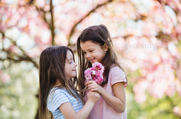 Two small girls standing outside in spring nature, holding flowers