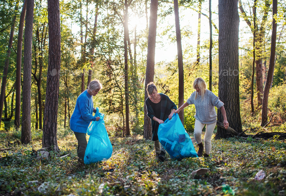 Senior women friends picking up litter outdoors in forest, a plogging concept