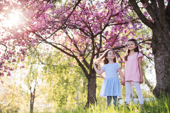 Two small girls standing outside in spring nature. Copy space