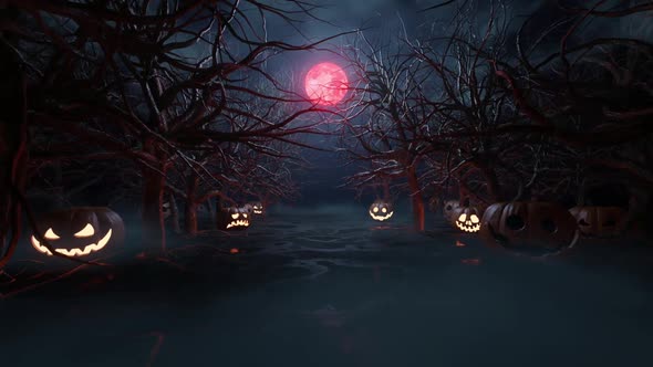 Halloween Pumpkins Forest