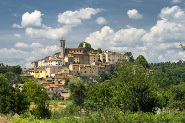 Summer landscape near Monterchi Tuscany Italy