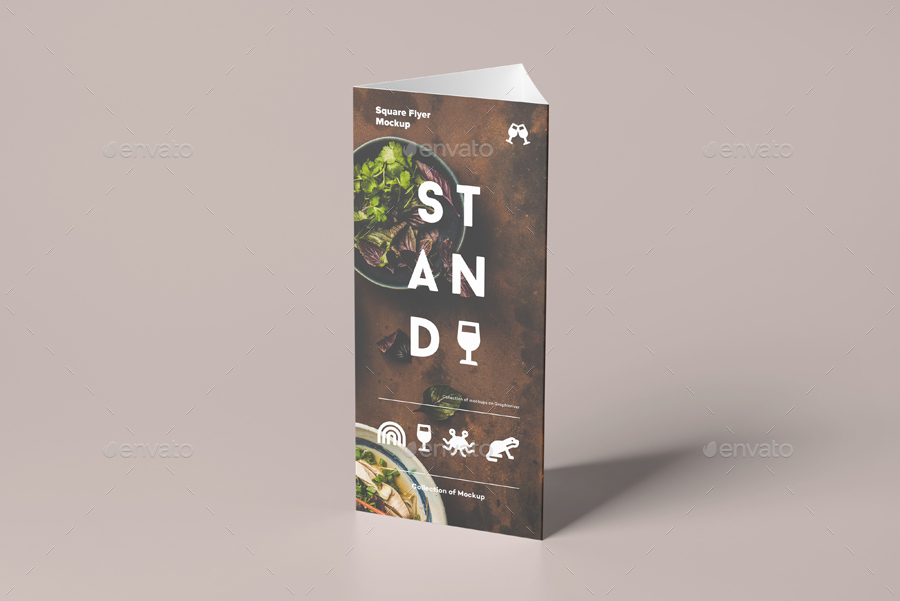 Download Triangle Dl Brochure Stand Mock Up By Yogurt86 Graphicriver PSD Mockup Templates
