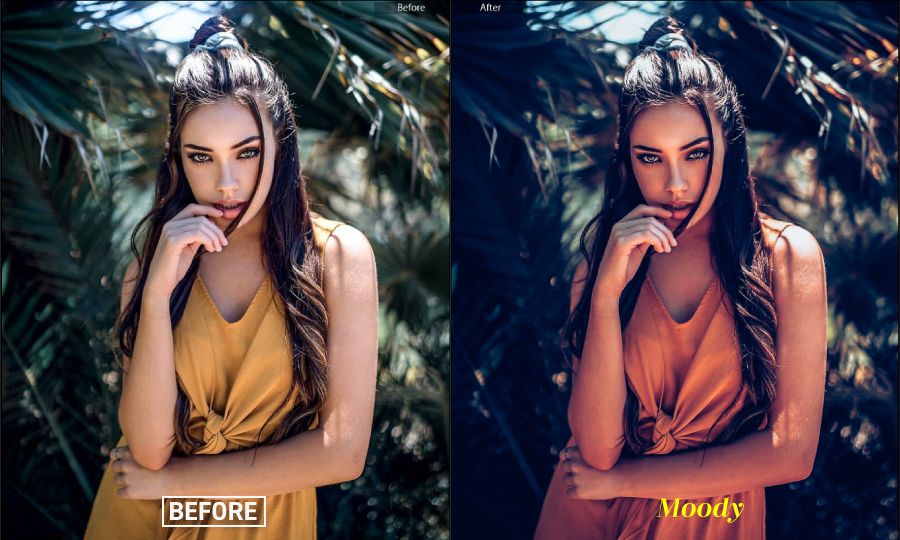 Moody Portraits Collection Lightroom Presets, Add-ons | GraphicRiver