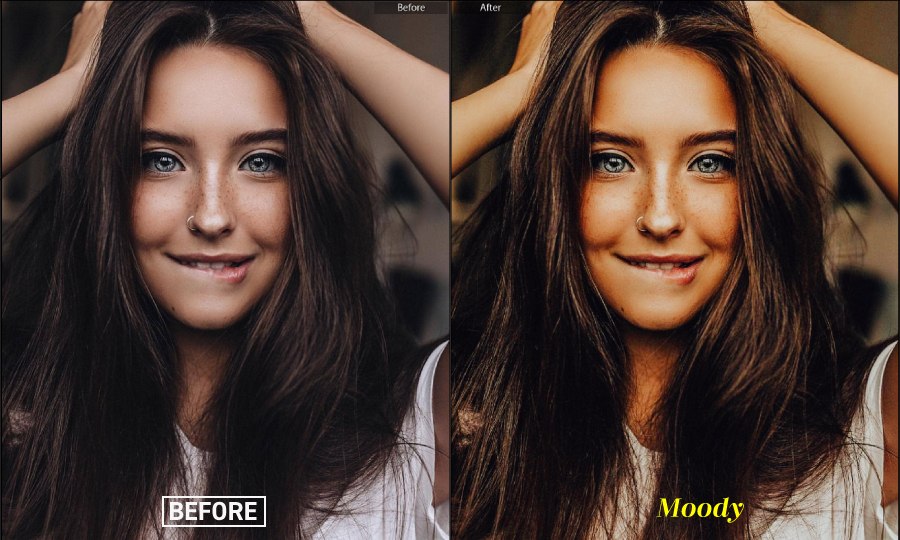 Moody Portraits Collection Lightroom Presets, Add-ons | GraphicRiver