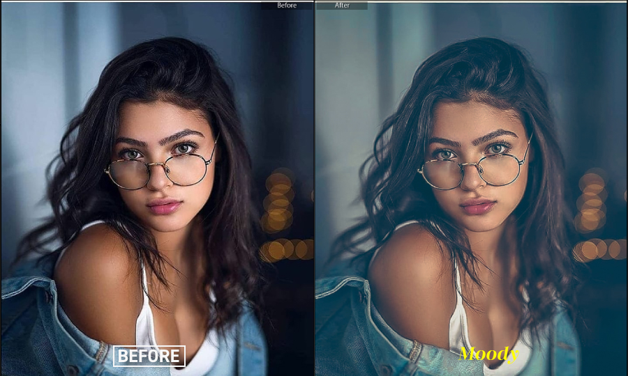 Moody Portraits Collection Lightroom Presets, Add-ons | GraphicRiver