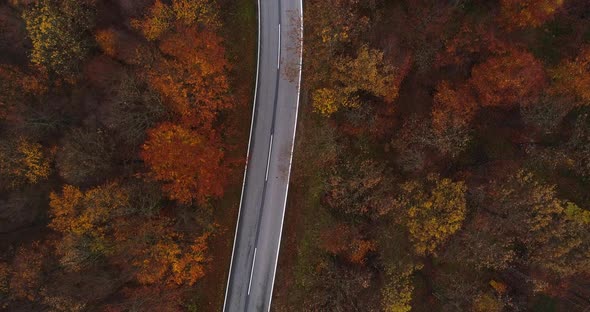 Flying Directly Aboce Country Road in Forest 4K